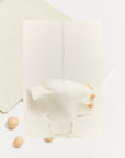 Soybean Milk Pad | Mascarilla nutritiva
